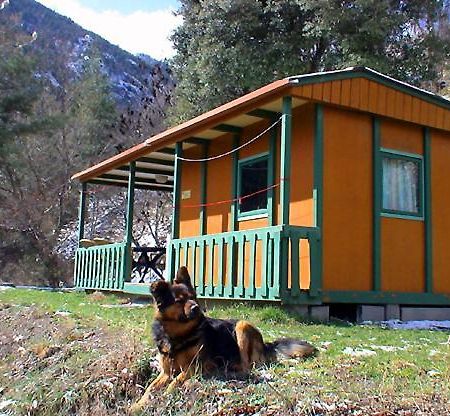 Chalet-Bungalow Ombrage Escaro Экстерьер фото