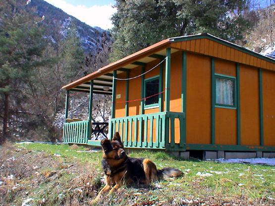 Chalet-Bungalow Ombrage Escaro Экстерьер фото