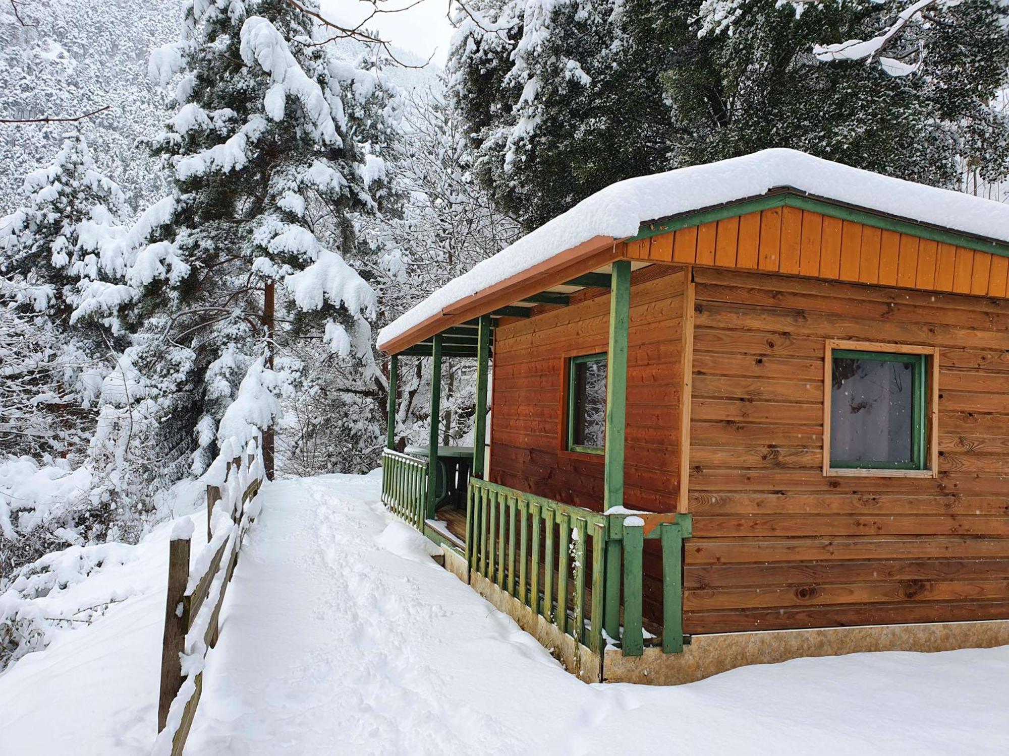 Chalet-Bungalow Ombrage Escaro Экстерьер фото